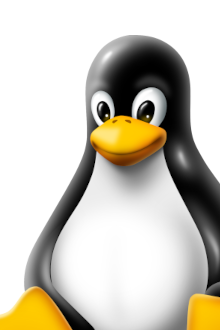 Operating System - Linux